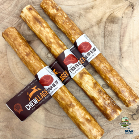 Chewllagen Beef Roll 10'' (15 pack)